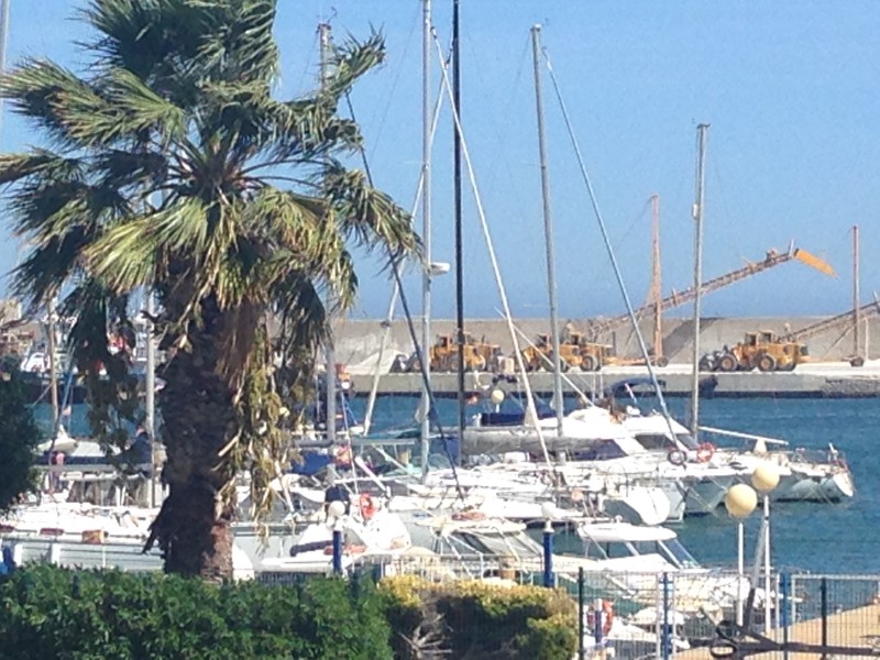 Hafen in Garrucha mit Palmen und Yachten