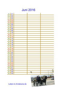 Familienkalender Andalusien 2016