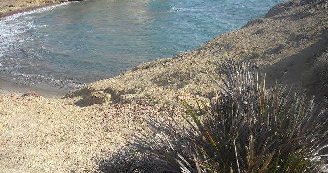 Playa de los Genoveses