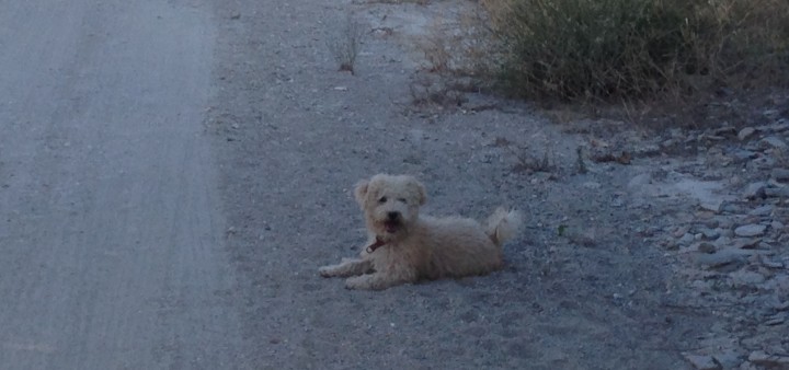 Faulenzen in Andalusien