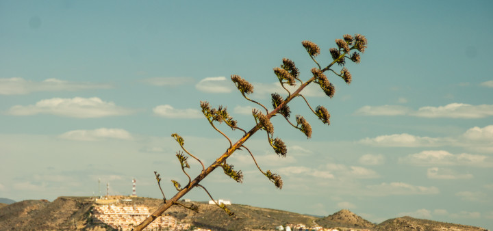 San Juan de los Terreros