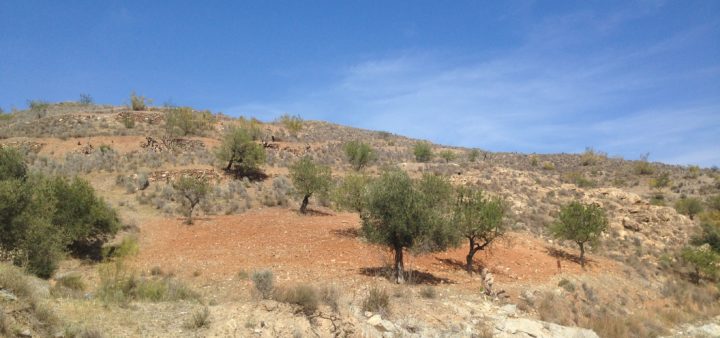 Urlaub in Andalusien in den Bergen