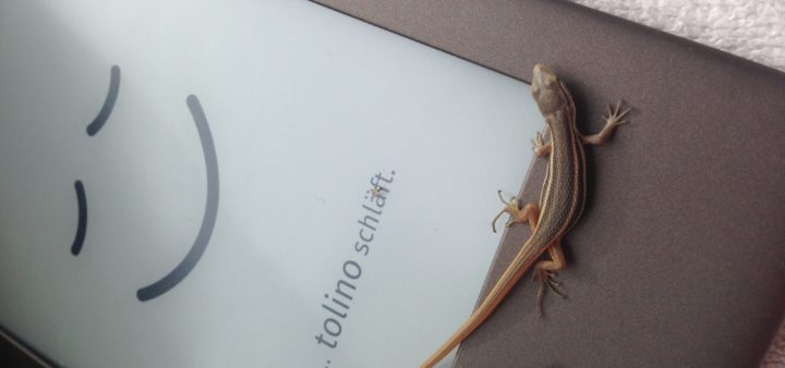 Tolino Shine ist ein tolles Reise Gadget - hier mit Gecko